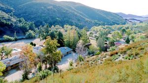 Learning for Life: Former Students Recount the Canyon Oaks Ranch Experience